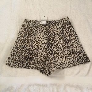 NWT ASTR Leopard shorts